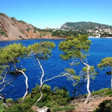 L'oree De La Plage: Appt. Confort 4/6 Pers. 400 M De La La Ciotat