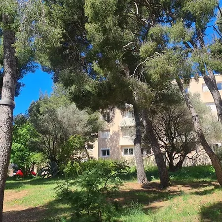 L'oree De La Plage: Appt. Confort 4/6 Pers. 400 M De La